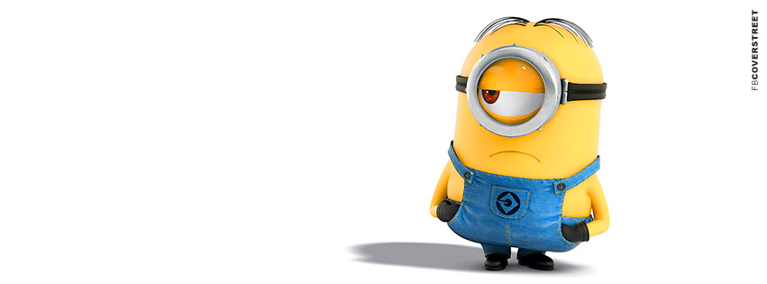 Despicable Me Unamused Minion  Facebook Cover