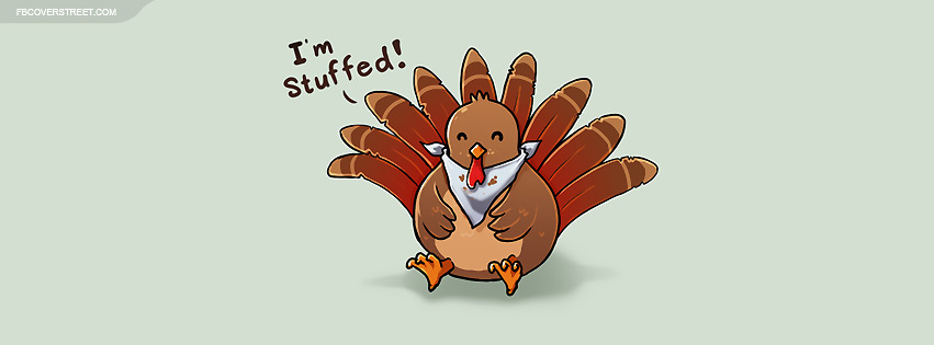 Turkey Im Stuffed Facebook Cover