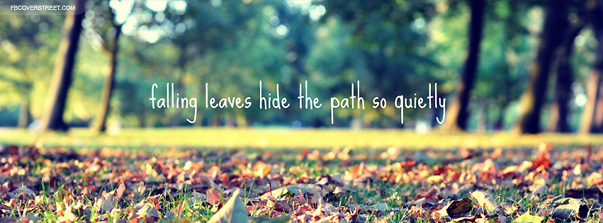 Falling Leaves Hide The Path Facebook Cover