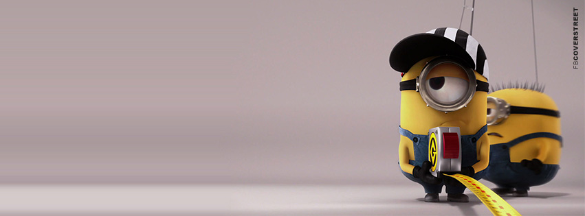 Despicable Me Minions Measuring  Facebook Cover