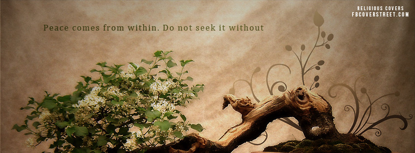 Peace Comes From Within Facebook Cover