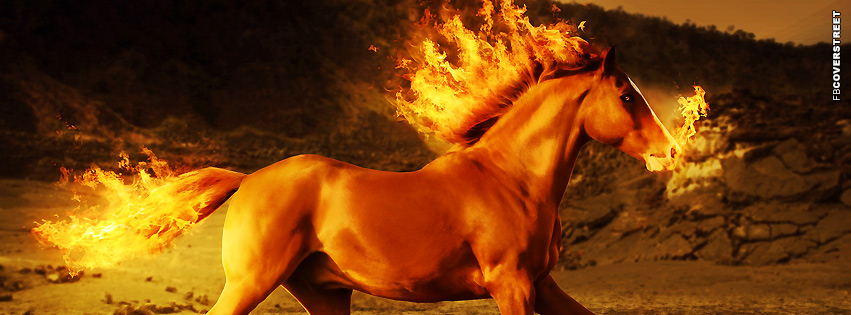 Horse Fire Wild Horse  Wallpaper