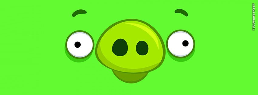 Angry Birds Pig Face  Wallpaper