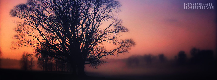 Vintage Scots Mist Wallpaper