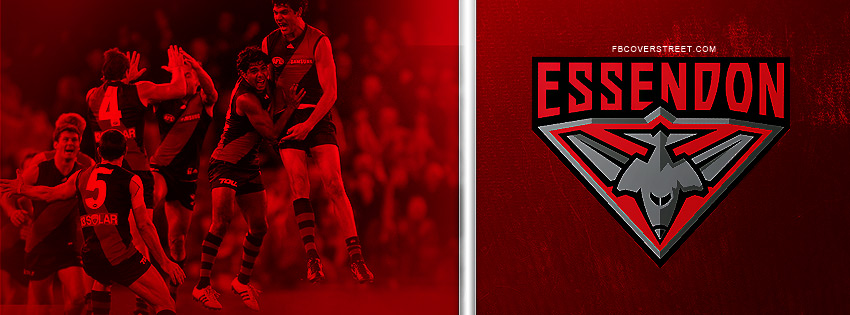 Essendon Bombers Team & Logo Wallpaper