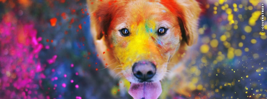 Color Powder Dog  Wallpaper