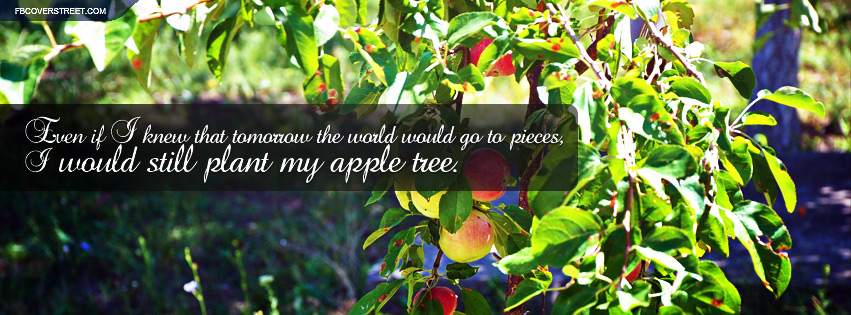 Even If I Knew The World Would End Quote Wallpaper