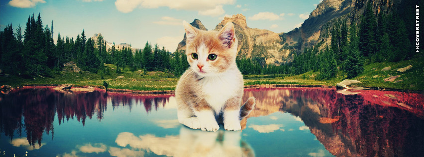 Cute Kitten Mountain Scenery  Wallpaper