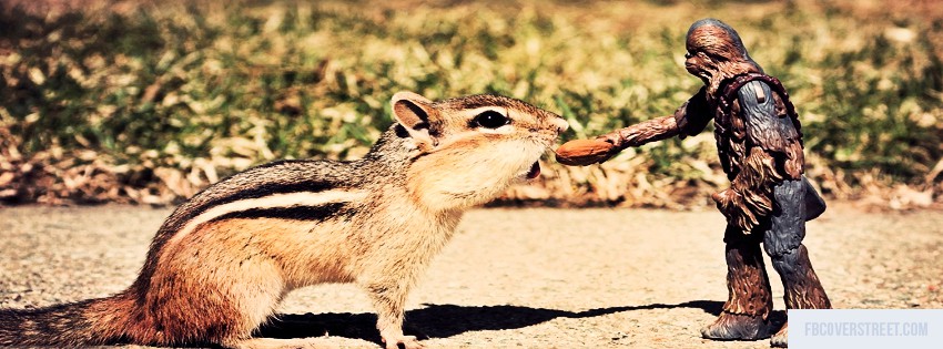 Cute Squirrel Wallpaper