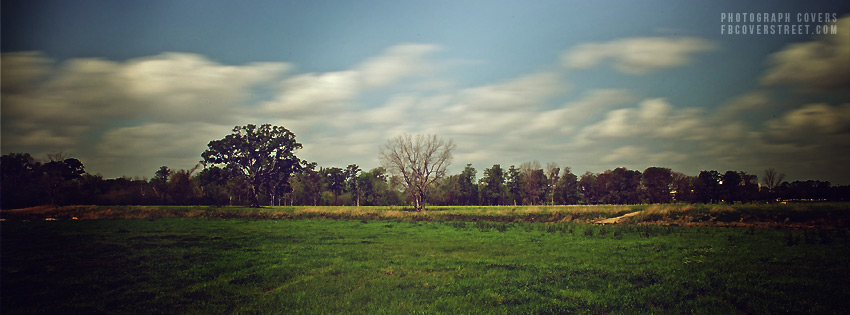 Vintage Field Wallpaper