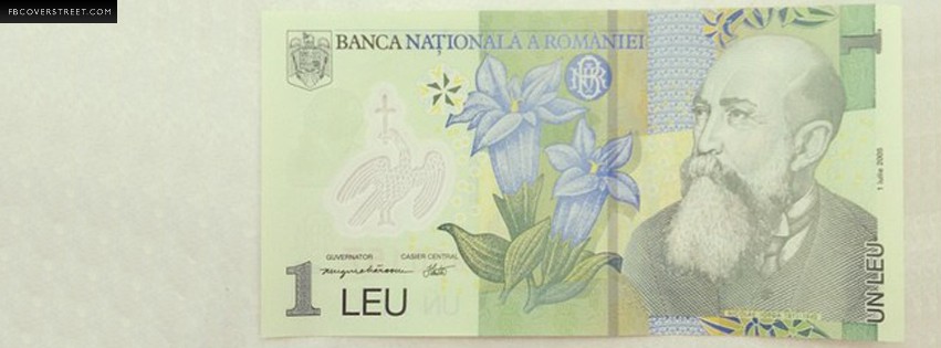 One Romanian Leu  Wallpaper