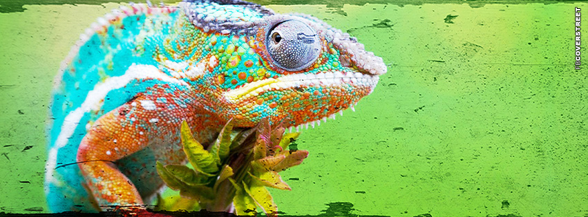 Lizard Looks Photoshopped Grunge  Wallpaper