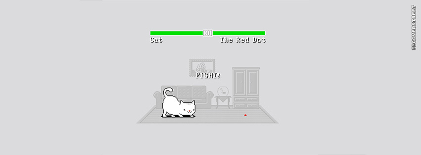 Cat vs The Red Laser Dot  Wallpaper