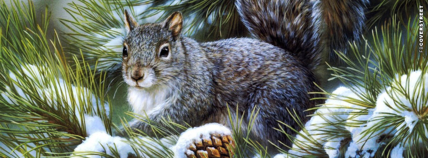 Winter Squirrel FB Cover  Wallpaper