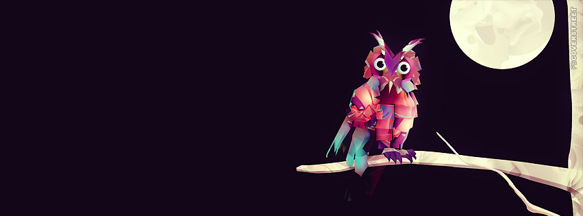 Owl Vector Art  Wallpaper