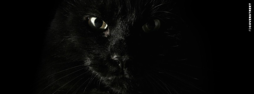 Creepy Black Cat  Wallpaper