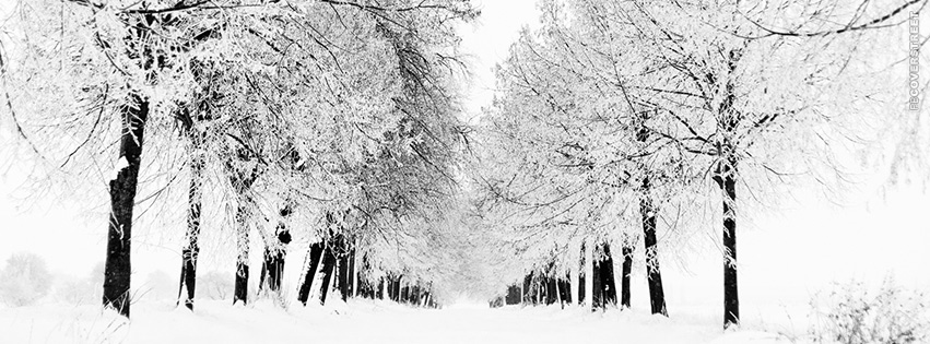 Winter Landscape Path  Wallpaper