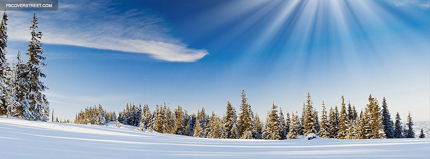 Winter Sunlight Photograph Wallpaper