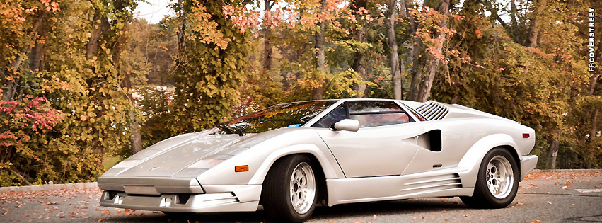 Lamborghini Countach Silver  Wallpaper