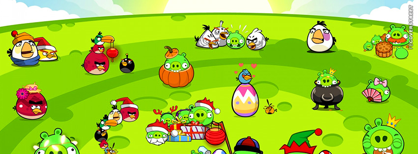 Angry Birds Big Party  Wallpaper