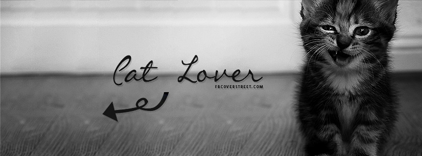 Cat Lover Wallpaper