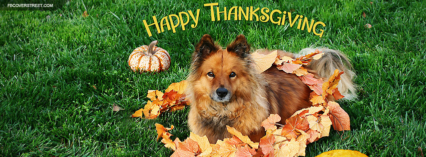 Cute Dog Happy Thanksgiving Wallpaper
