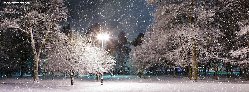 Winter Night Park Photograph Facebook Cover