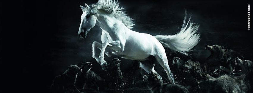 Horse Running From Attack Dogs  Wallpaper