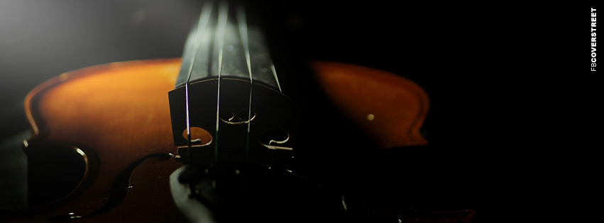 Violin Photograph  Wallpaper