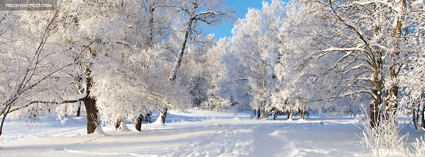 Snow Tracks Photograph Wallpaper