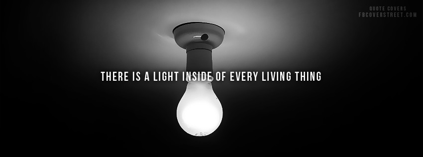Light Inside Every Living Thing Wallpaper