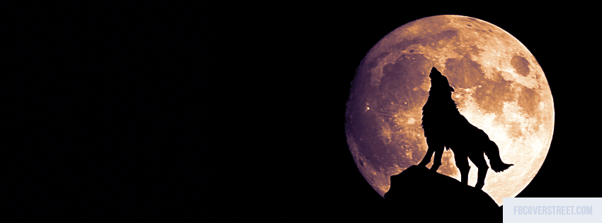 Howling Wolf Picture