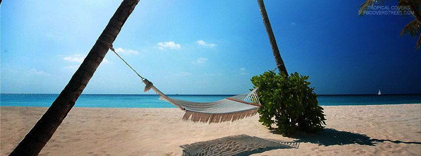 Tropical Hammock On A Beach Wallpaper