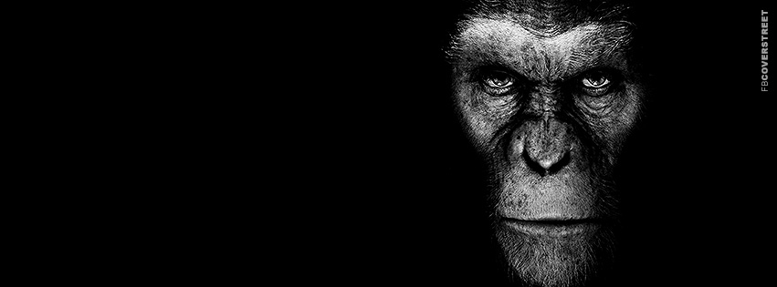 Rise of The Planet of The Apes Movie Cover  Wallpaper