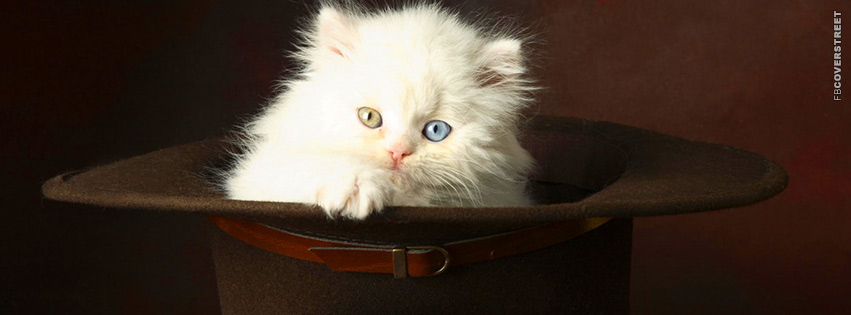 Kitten In A Hat  Wallpaper