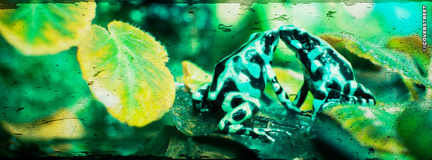 Frogs Kissing Grunge  Wallpaper
