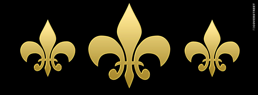 New Orleans Saints Fleur De Lis Cover Logo  Picture