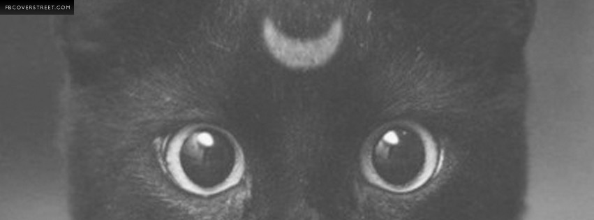 Sailor Moon Real Life Diana  Wallpaper