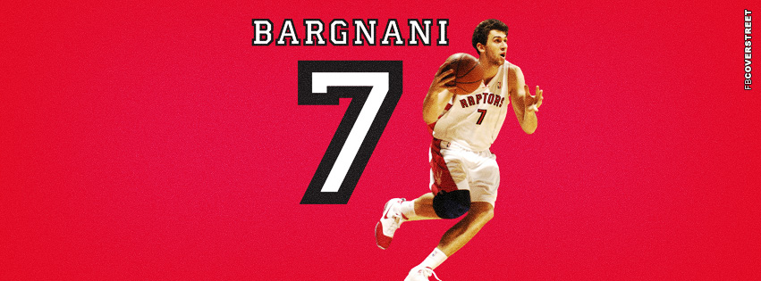 Toronto Raptors Andrea Bargani  Wallpaper