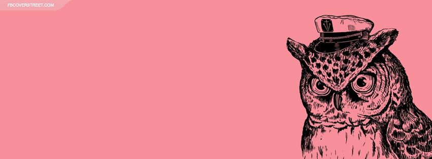 Peeking Owl Wallpaper