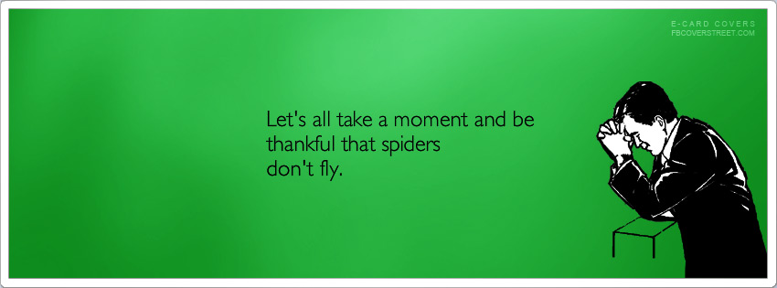 Be Thankful Spiders Dont Fly Wallpaper