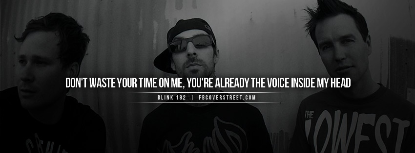 Blink 182 Dont Waste Your Time Quote Picture