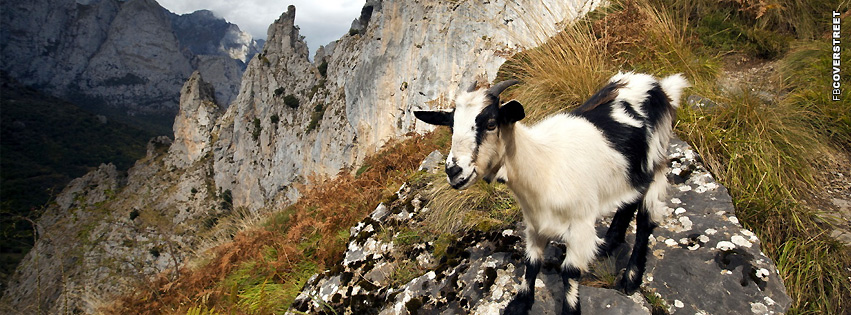 Goat Black  Wallpaper