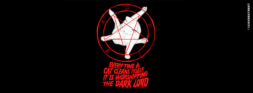 Everytime A Cat Cleans Itself  Wallpaper