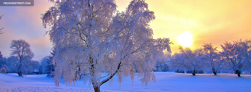 Winter Evening Light Wallpaper