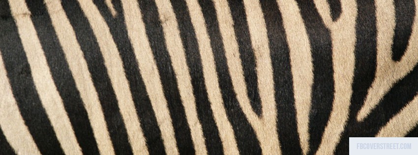 Zebra Print Wallpaper