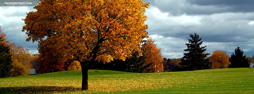 Autumn Tree Wallpaper