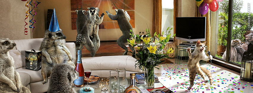 Party Animals  Wallpaper