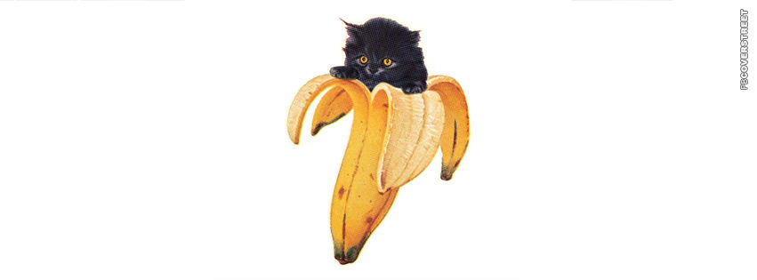Banana Cat  Wallpaper