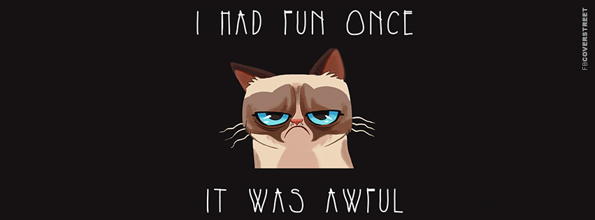 Grumpy Cat I Had Fun Once  Wallpaper